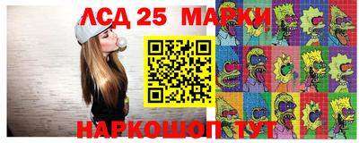 индика Новодвинск