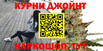 индика Новодвинск