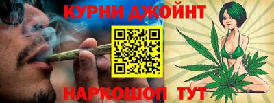 индика Новодвинск