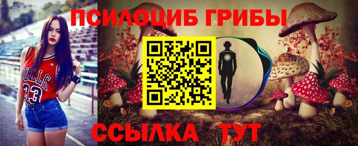 Галлюциногенные грибы MAGIC MUSHROOMS  Псилоцибиновые грибы Magic Shrooms  Вход с VPN  Отрадное 